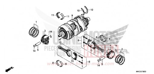 VILEBREQUIN/PISTON GL1800K de 2019